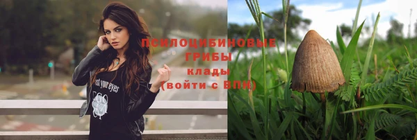 МДПВ Аркадак