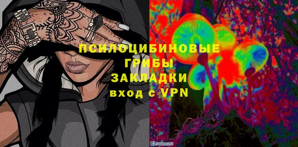 МДПВ Аркадак