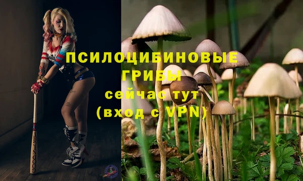 MDMA Premium VHQ Арсеньев