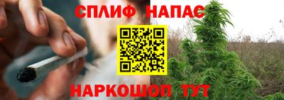 прущие грибы Новодвинск