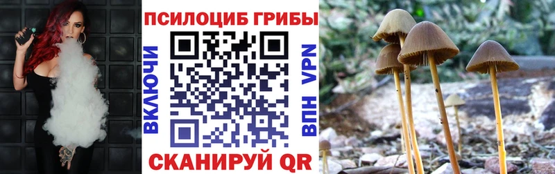 darknet состав  Рыбинск  Галлюциногенные грибы Cubensis 