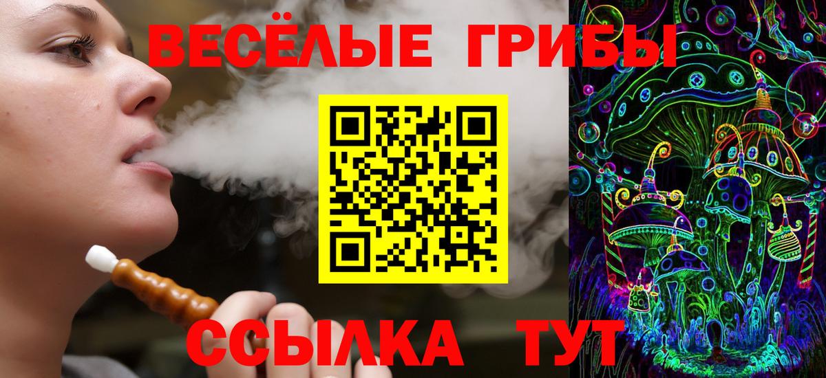 Псилоцибиновые грибы Psilocybe Рыбинск